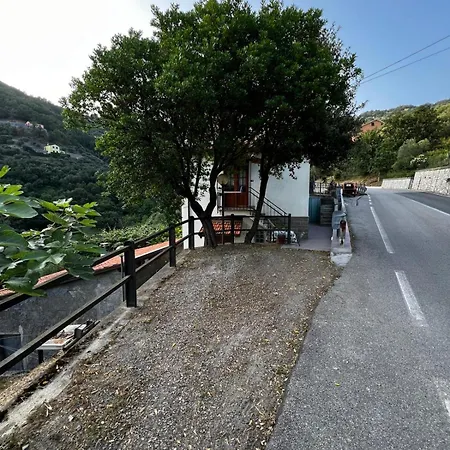 Il Corbezzolo *